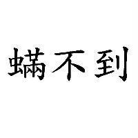 蟎不到