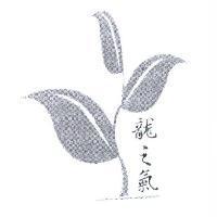 龍之氣及圖