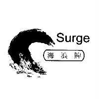 海浪牌 SURGE 及圖