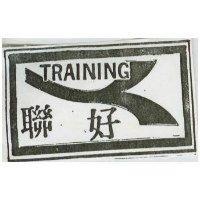 聯好及圖 TRAINING 