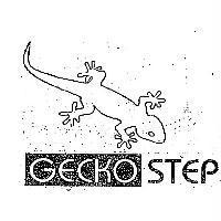 GECKO STEP 及圖