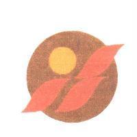 滿冠設計圖