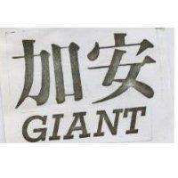 加安 GIANT