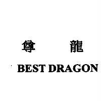 尊龍 BEST DRAGON