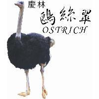 慶林鷗絲翠 OSTRICH 及圖