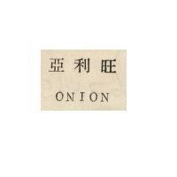 亞利旺 ONION