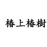 椿上椿樹