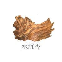 水沉香及圖