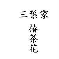 三葉家 椿茶花