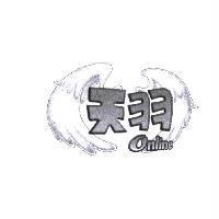 天羽 Online 及圖