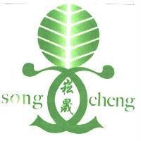 崧晟 song cheng 及圖