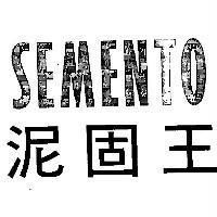 SEMENTO 泥固王
