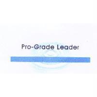 Pro-Grade Leader 及圖