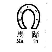 馬蹄 MA TI 及圖
