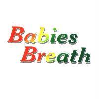 Babies Breath