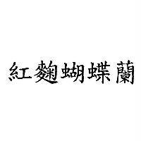 紅麴蝴蝶蘭