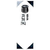 美加 3Q MEGA 及圖