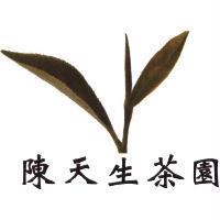 陳天生茶園及圖