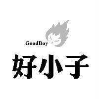 好小子及圖 GoodBoy