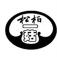 松柏-菇設計圖
