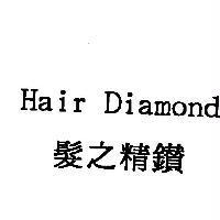 Hair Diamond 髮之精鑽