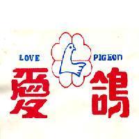 愛鴿及圖 LOVE PIGEON 