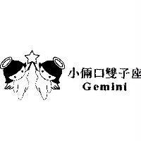 小倆口雙子座 Gemini 及圖