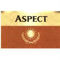 ASPECT 及圖