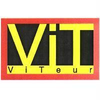 ViT / ViTeur 與圖