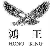 鴻王及圖 HONG KING
