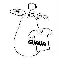 GUAVA 及圖