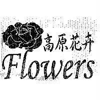 高原花卉 FLowers 及圖