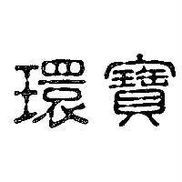 環寶