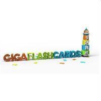 GIGA FLASH CARDS 卡塔資訊及圖
