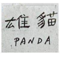 雄貓 PANDA