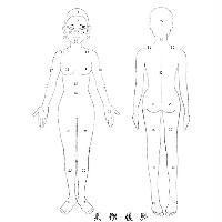 美體履歷及圖