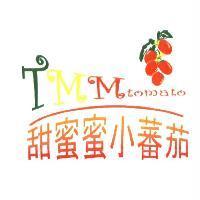 甜蜜蜜小蕃茄 TMM tomato 及圖