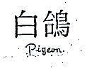 白鴿 PIGEON 