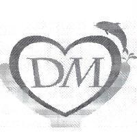 DM 及圖