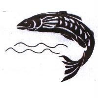 飛躍之魚