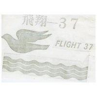 飛翔– 37 及圖 FLIGHT – 37 