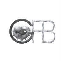 GFB 設計圖