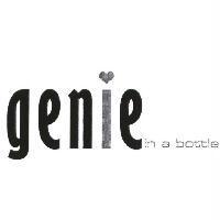 genie in a bottle 及圖