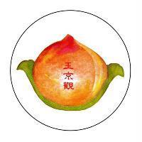 玉京觀及圖
