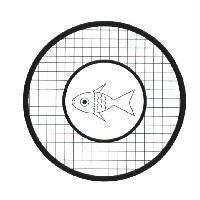 魚圖