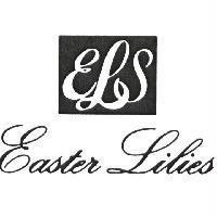 Easter Lilies 及圖