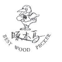 啄木鳥 BEST WOOD PECKER 及圖