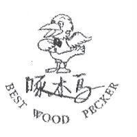 啄木鳥 BEST WOOD PECKER 及圖