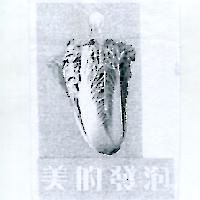 美的發泡及圖