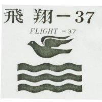 飛翔– 37 及圖 FLIGHT-37